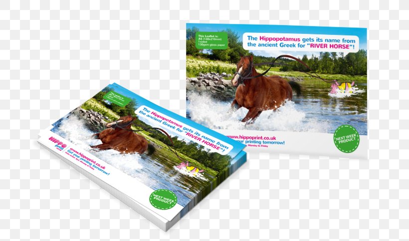 Flyer Printing Folded Leaflet Brochure, PNG, 750x484px, Flyer, Advertising, Brand, Brochure, Business Cards Download Free