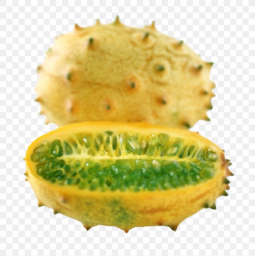 Horned Melon Auglis Fruit Vegetable Bitter Melon, PNG, 3029x3033px, Horned Melon, Auglis, Bitter Melon, Cucumber Gourd And Melon Family, Cucumis Download Free
