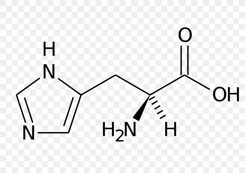 Phenylalanine Histidine Skeletal Formula Amino Acid, PNG, 1280x905px, Alanine, Amino Acid, Area, Arginine, Black Download Free