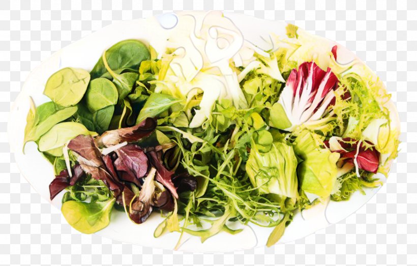 Lettuce Vegetarian Cuisine Food Garnish Spring Greens, PNG, 1390x887px, Lettuce, Cruciferous Vegetables, Cuisine, Diet, Diet Food Download Free