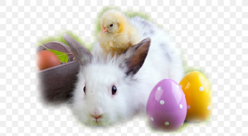The Easter Bunny Egg Hunt Rabbit, PNG, 600x450px, Easter Bunny, Ash Wednesday, Basket, Child, Domestic Rabbit Download Free