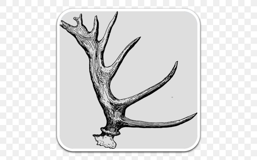 Vector Graphics Illustration Poster Drawing Image, PNG, 512x512px, Poster, Antler, Beak, Black And White, Deer Download Free