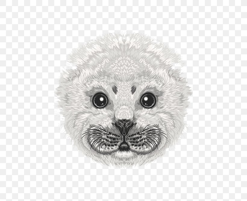 Whiskers Earless Seal Drawing Illustration, PNG, 600x666px, Whiskers, Avatar, Black And White, Carnivoran, Cartoon Download Free