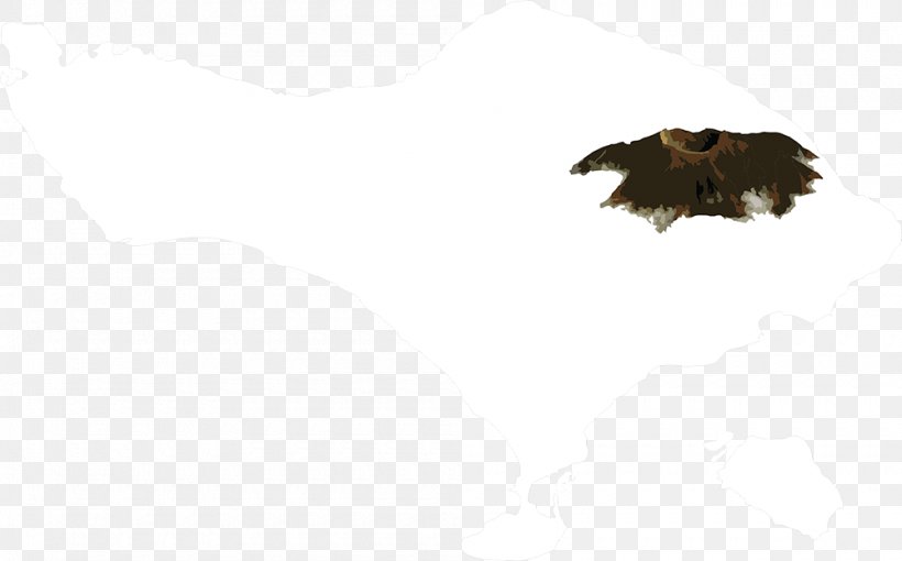 Bird Of Prey Bald Eagle Beak, PNG, 1000x622px, Bird, Animal, Bald Eagle, Beak, Bird Of Prey Download Free