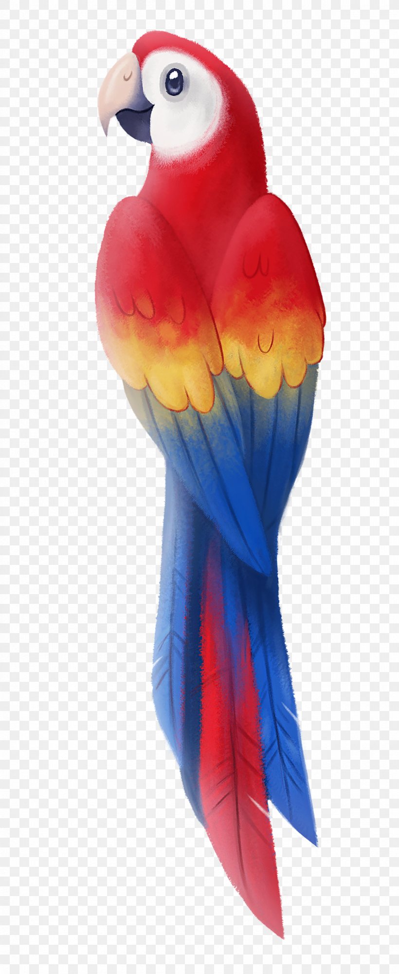 Budgerigar Scarlet Macaw Lovebird Illustration, PNG, 1200x2927px, Budgerigar, Art, Beak, Bird, Canvas Download Free