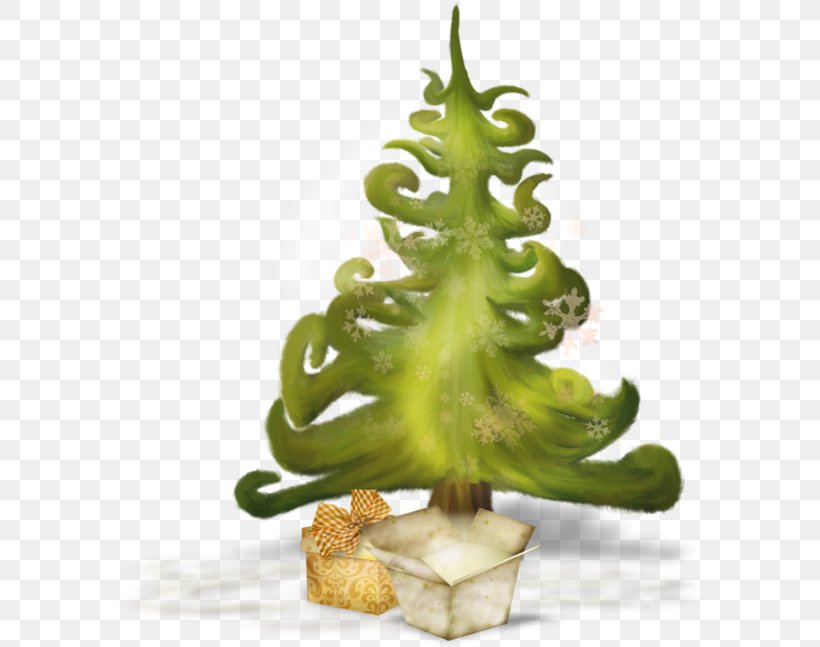 Christmas Plant Winter, PNG, 600x647px, Christmas, Plant, Winter Download Free