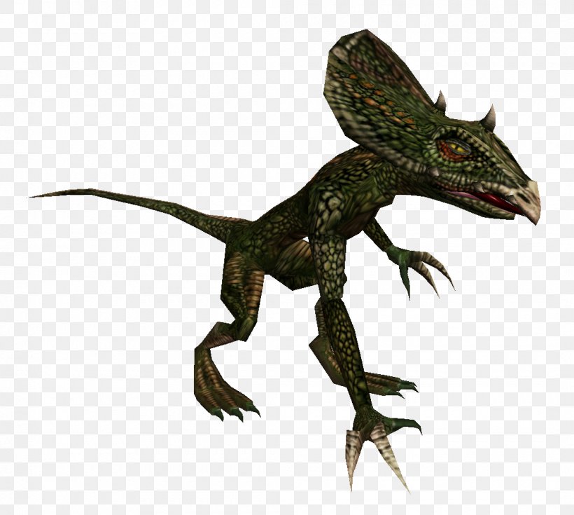 Dragon Lizards Velociraptor Fauna Terrestrial Animal, PNG, 1060x951px, Dragon Lizards, Agamidae, Animal, Dinosaur, Dragon Download Free