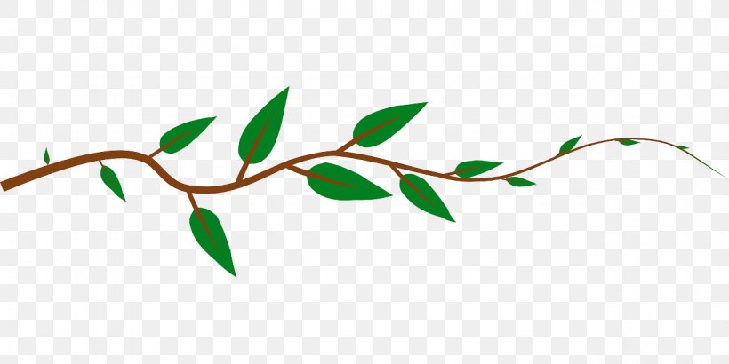 Vine Clip Art, PNG, 1280x640px, Vine, Branch, Drawing, Ivy, Leaf Download Free