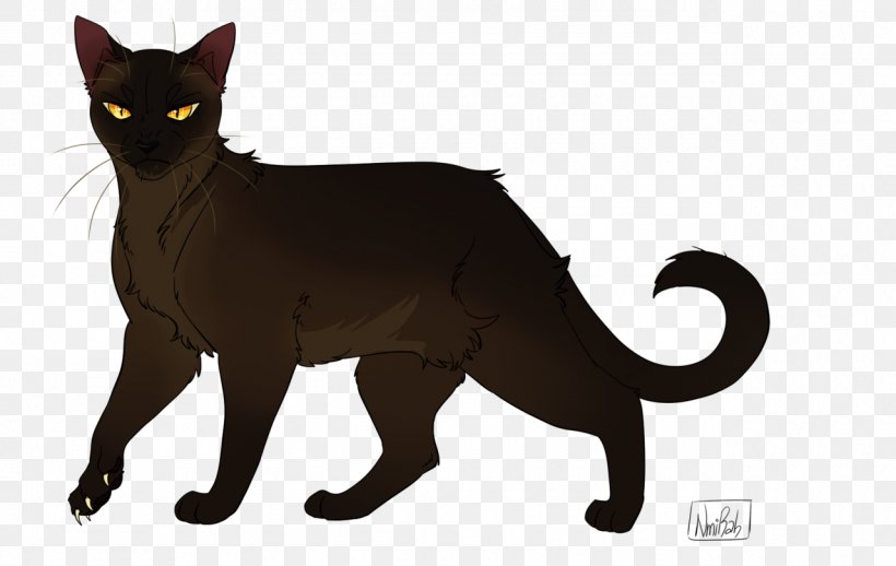 Bombay Cat Black Cat Korat Into The Wild Dustpelt, PNG, 1280x810px, Bombay Cat, Asian, Birchfall, Black, Black Cat Download Free