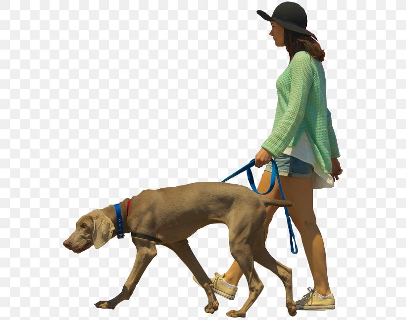 Dog Walking Architectural Rendering, PNG, 571x646px, Dog, Architectural Rendering, Architecture, Carnivoran, Computer Graphics Download Free
