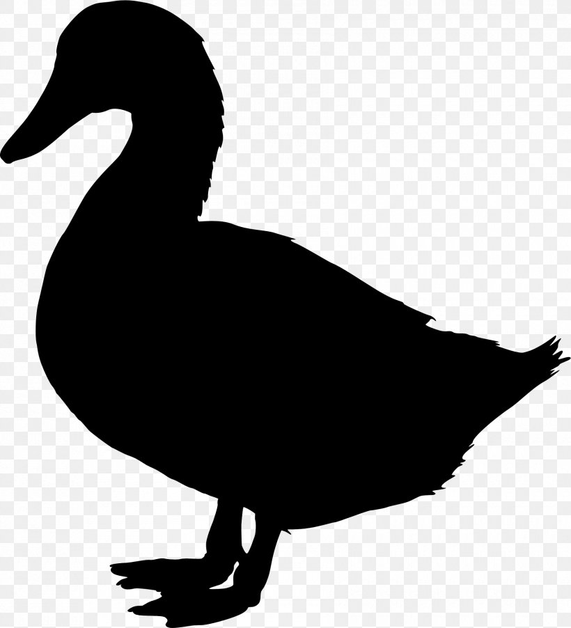 Duck Clip Art Vector Graphics Image, PNG, 1780x1959px, Duck, American Black Duck, Beak, Bird, Drawing Download Free