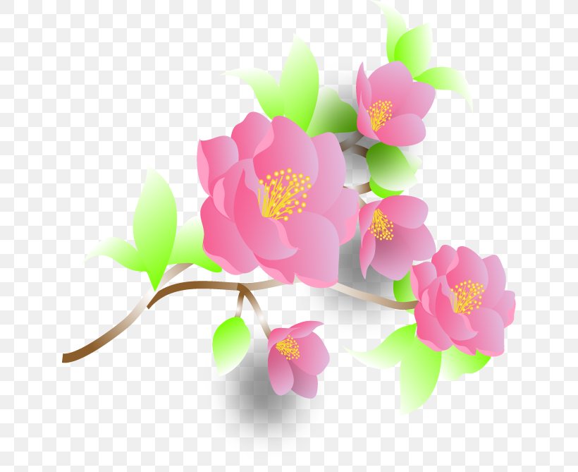 Flower Petal Cartoon, PNG, 644x669px, Flower, Blossom, Branch, Cartoon, Cherry Blossom Download Free