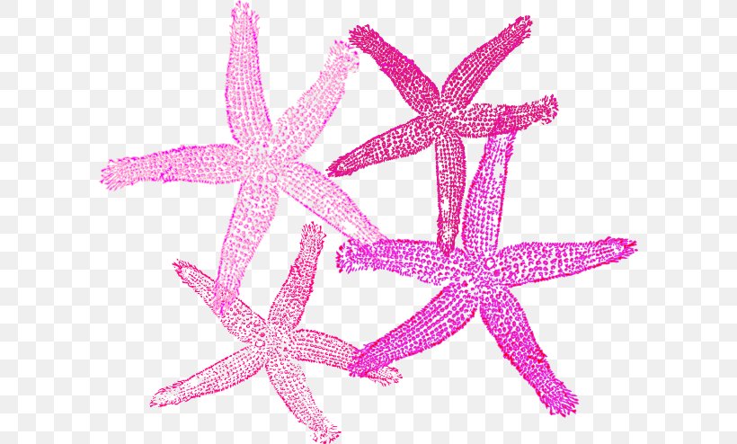Starfish Royalty-free Clip Art, PNG, 600x494px, Starfish, Blue, Cartoon, Echinoderm, Invertebrate Download Free