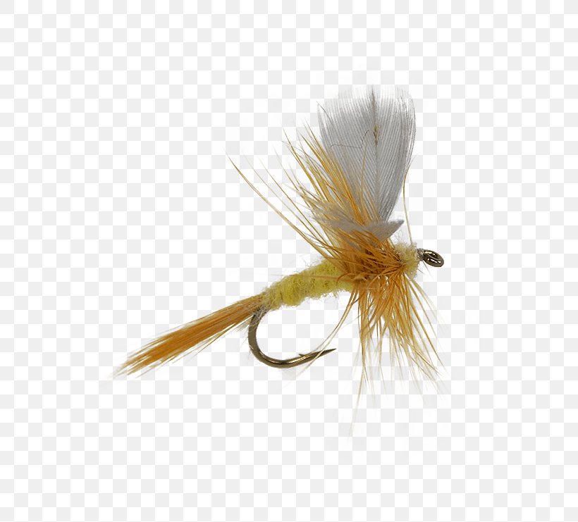 Artificial Fly Emergers Fly Fishing Insect, PNG, 555x741px, Fly, Artificial Fly, Brand, Distribution, Fishing Download Free