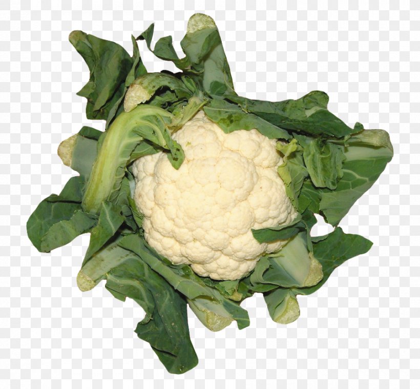 Cauliflower Vegetable Broccoflower, PNG, 900x834px, Cauliflower, Brassica Oleracea, Broccoflower, Broccoli, Cabbage Download Free