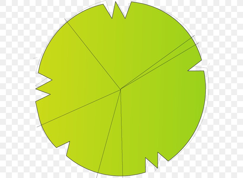 Leaf Green Circle Angle, PNG, 596x599px, Leaf, Grass, Green, Plant, Tree Download Free