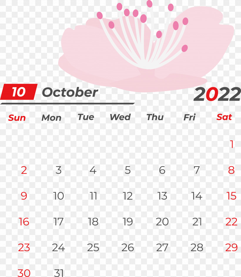 Line Calendar Font Petal Meter, PNG, 3974x4574px, Line, Calendar, Geometry, Mathematics, Meter Download Free