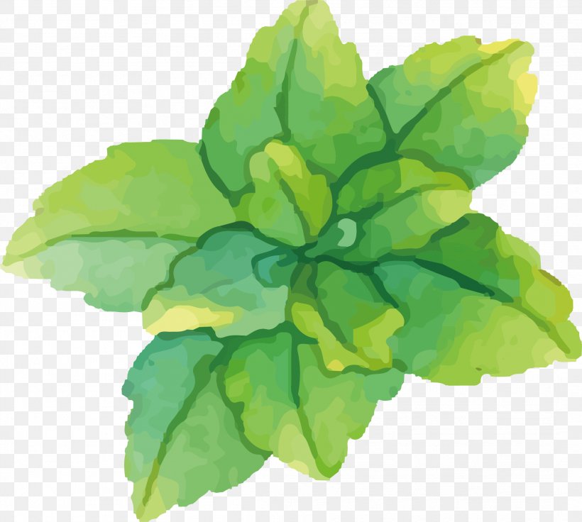 Watercolor Painting Green Mint, PNG, 2128x1912px, Watercolor Painting, Annual Plant, Color, Green, Ink Download Free