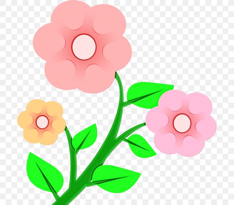 Watercolor Pink Flowers, PNG, 699x720px, Watercolor, Blog, Cut Flowers, Flower, May Download Free