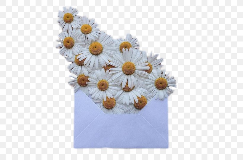 Wedding Invitation Flower Bouquet Envelope Paper, PNG, 540x540px, Wedding Invitation, Chrysanths, Common Daisy, Creativity, Cut Flowers Download Free