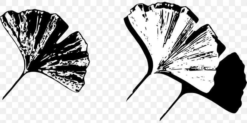 Ginkgo Biloba Leaf, PNG, 1280x640px, Ginkgo Biloba, Black And White, Butterfly, Charms Pendants, Earring Download Free