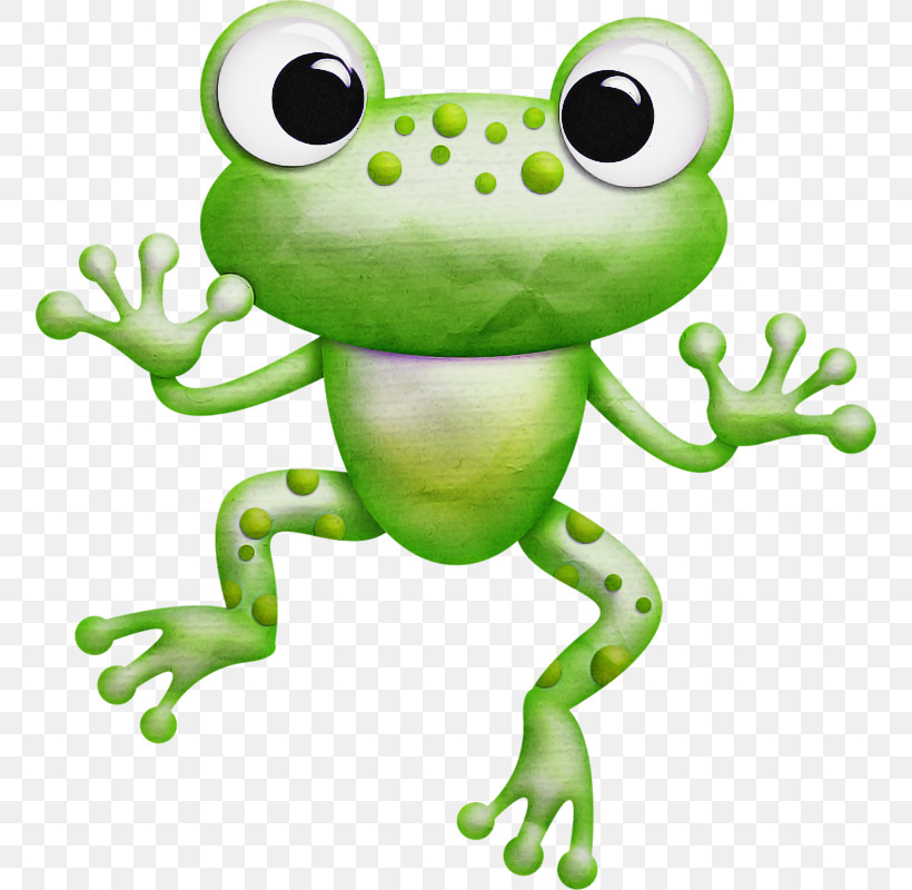 Frog Green True Frog Tree Frog Hyla, PNG, 756x800px, Frog, Agalychnis, Animal Figure, Animation, Bullfrog Download Free