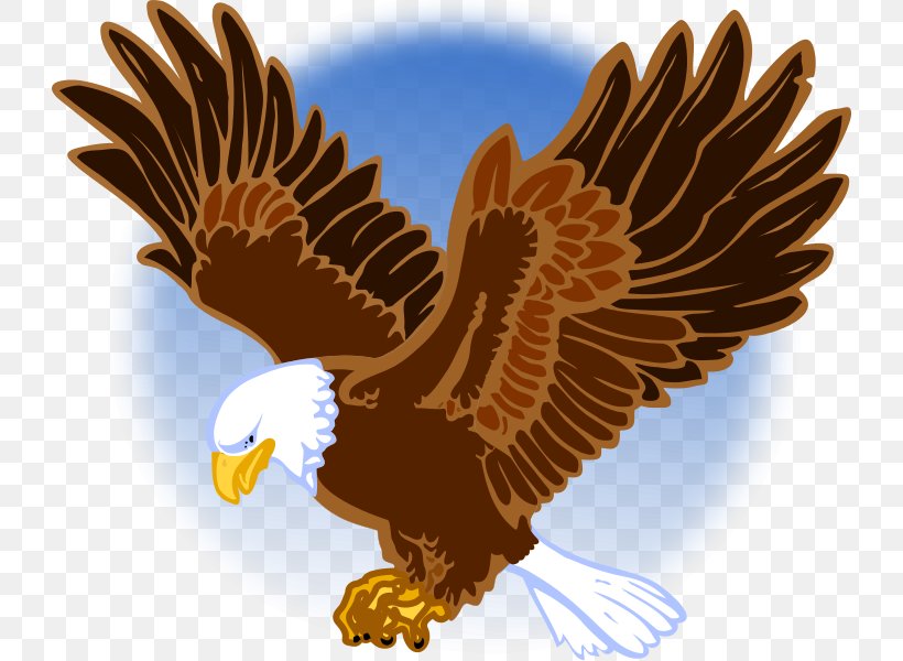 United States Department Of Veterans Affairs United States Department Of Veterans Affairs Federal Register Federal Government Of The United States, PNG, 726x600px, United States, Accipitriformes, Army Officer, Bald Eagle, Beak Download Free