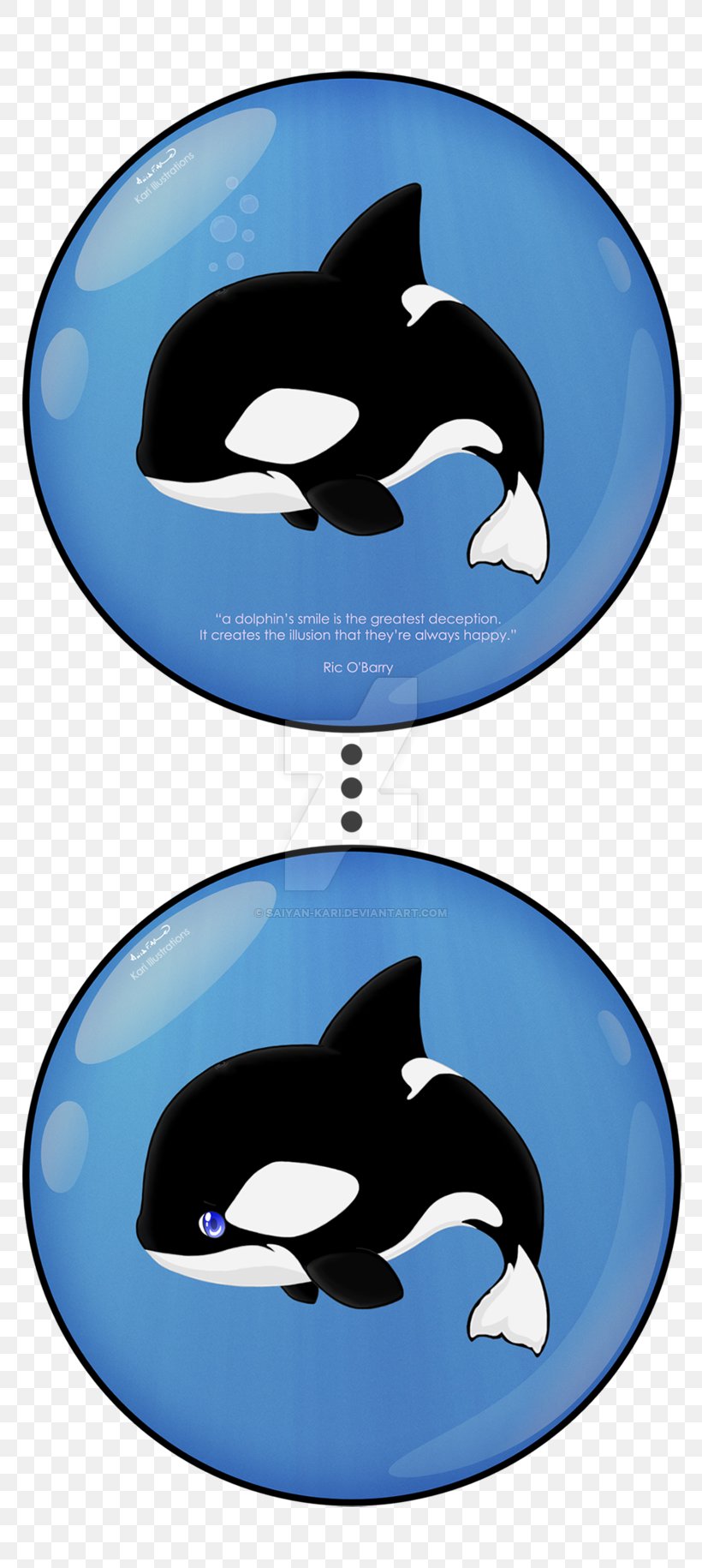 Killer Whale Dolphin Cetacea Clip Art, PNG, 800x1830px, Killer Whale, Cetacea, Dolphin, Mammal, Marine Mammal Download Free