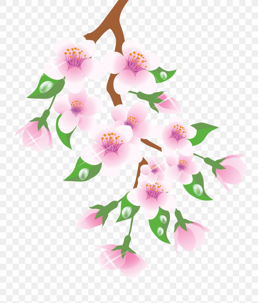 Spring Branch Clip Art, PNG, 4453x5245px, Flower, Blossom, Branch, Cherry Blossom, Flora Download Free