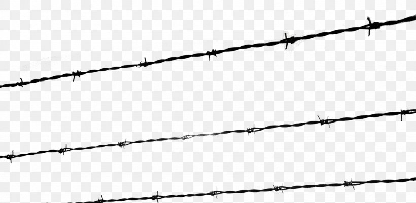 The Holocaust Kristallnacht Barbed Wire Fence, PNG, 1024x502px, Watercolor, Cartoon, Flower, Frame, Heart Download Free