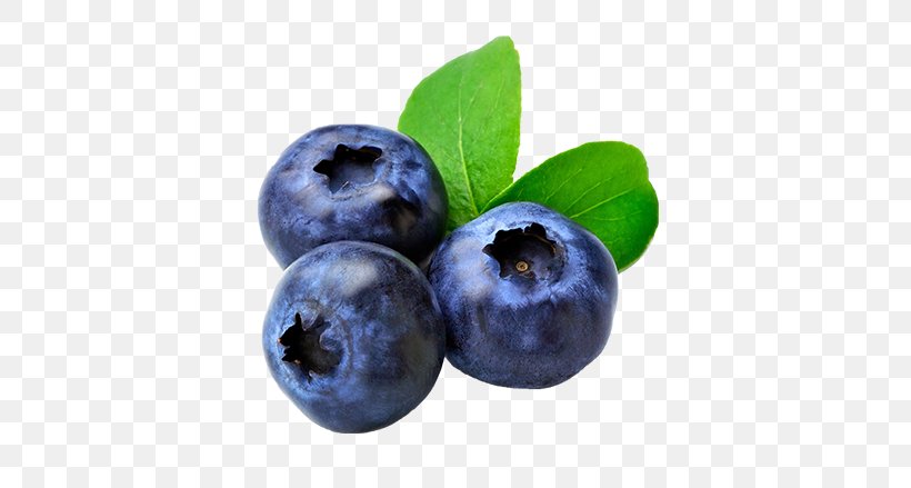 Blueberry Muffin Fruit Food, PNG, 389x439px, Blueberry, Antioxidant, Berry, Bilberry, Blueberry Extract Download Free