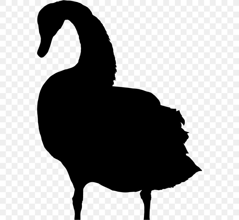 Cygnini Bird Clip Art, PNG, 566x756px, Cygnini, Beak, Bird, Black And White, Black Swan Download Free