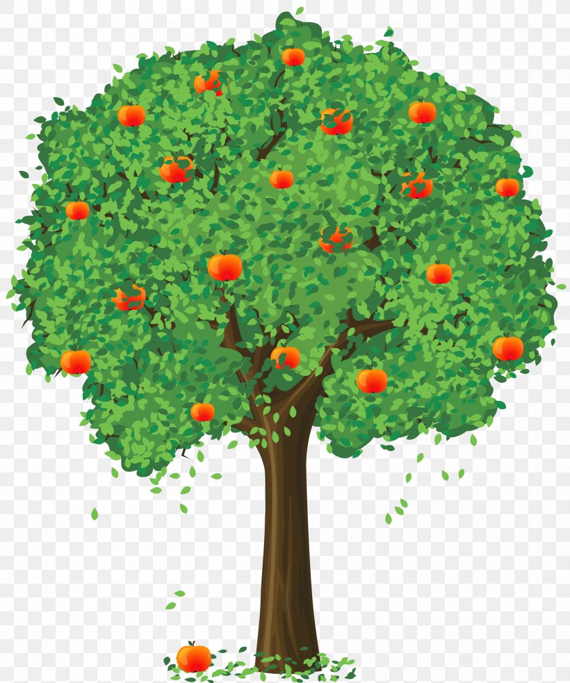 Fruit Loose And Fancy Tree Tangerine Lemon, PNG, 2500x2997px, Tree, Art, Branch, Cartoon, Drawing Download Free
