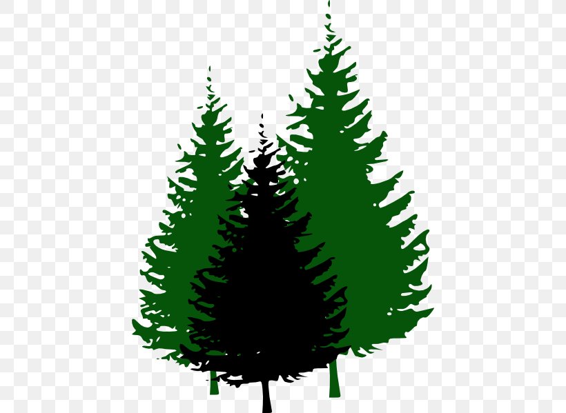 Evergreen Pine Tree Clip Art, PNG, 438x599px, Evergreen, Christmas Decoration, Christmas Ornament, Christmas Tree, Conifer Download Free