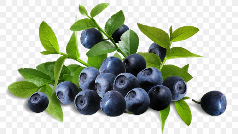 Bilberry Extract Blueberry Anthocyanin Herb, PNG, 1280x719px, Bilberry, Anthocyanin, Antioxidant, Aristotelia Chilensis, Berry Download Free
