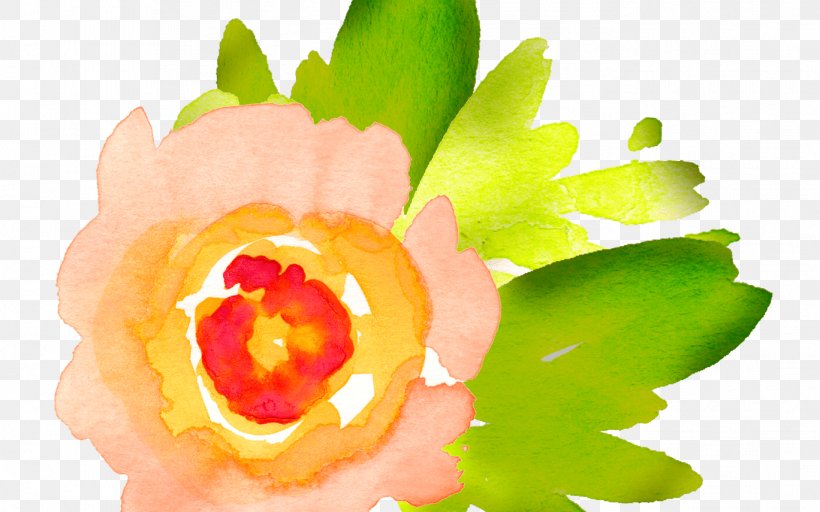 Clip Art Watercolor Painting Watercolour Flowers Watercolor: Flowers Free Content, PNG, 1368x855px, Watercolor Painting, Art, Floral Design, Flower, Flowering Plant Download Free