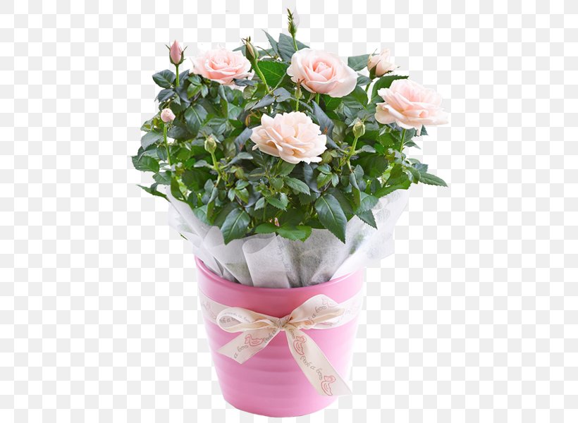 Garden Roses Cabbage Rose Pink Flowerpot Cut Flowers, PNG, 600x600px, Garden Roses, Annual Plant, Artificial Flower, Cabbage Rose, Cut Flowers Download Free