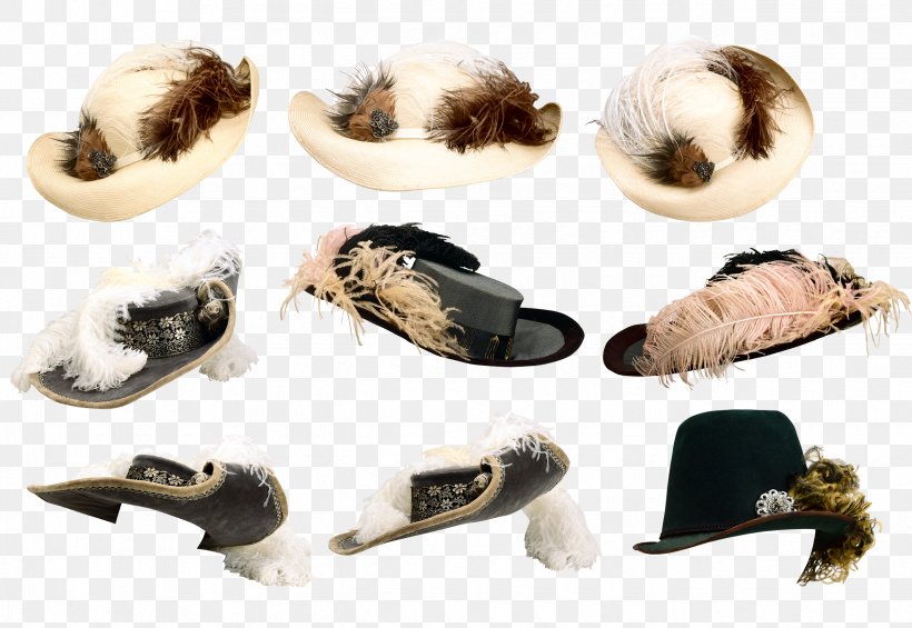 Hat Headgear Clip Art, PNG, 2478x1708px, Hat, Clothing, Costume, Footwear, Fur Download Free