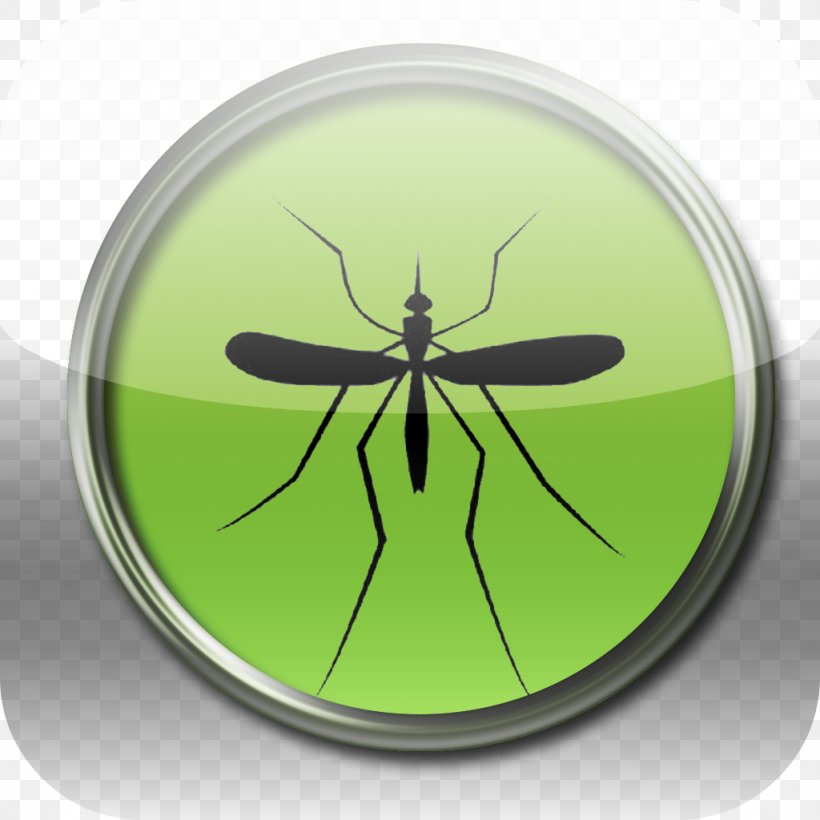 Insect Mosquito Pest Invertebrate ASEAN Declaration, PNG, 1024x1024px, Insect, Animal, Arthropod, Asean Declaration, Fly Download Free
