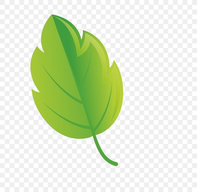 Leaf Green Plant Logo Tree, PNG, 800x800px, Leaf, Flower, Green, Logo, Plant Download Free