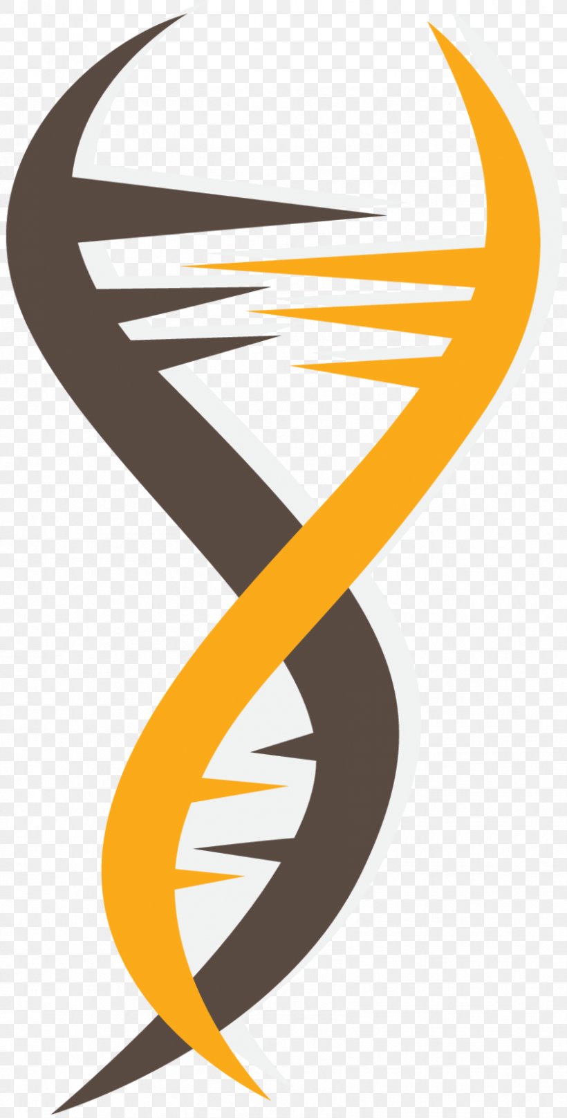 Molecular Genetics Vector Graphics Clip Art, PNG, 843x1662px, Genetics, Biology, Dna, Drawing, Helix Download Free