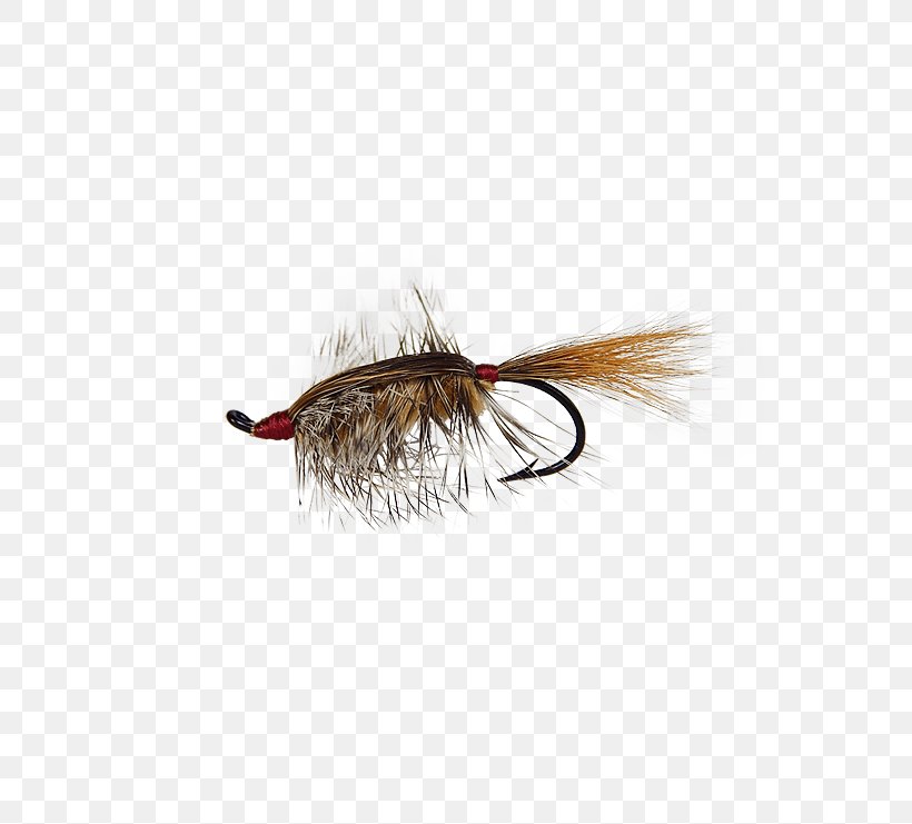 Product Holly Flies Bed Head Rainbow Trout Artificial Fly, PNG, 555x741px, Holly Flies, Artificial Fly, Bed Head, Fishing Bait, Fly Download Free