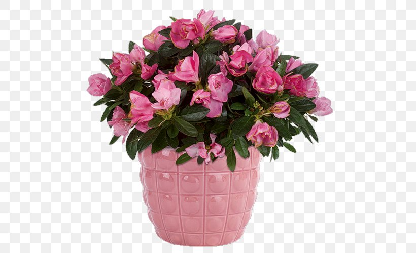 Birthday Flower Delivery Floristry Menifee, PNG, 500x500px, Birthday, Anniversary, Annual Plant, Artificial Flower, Azalea Download Free