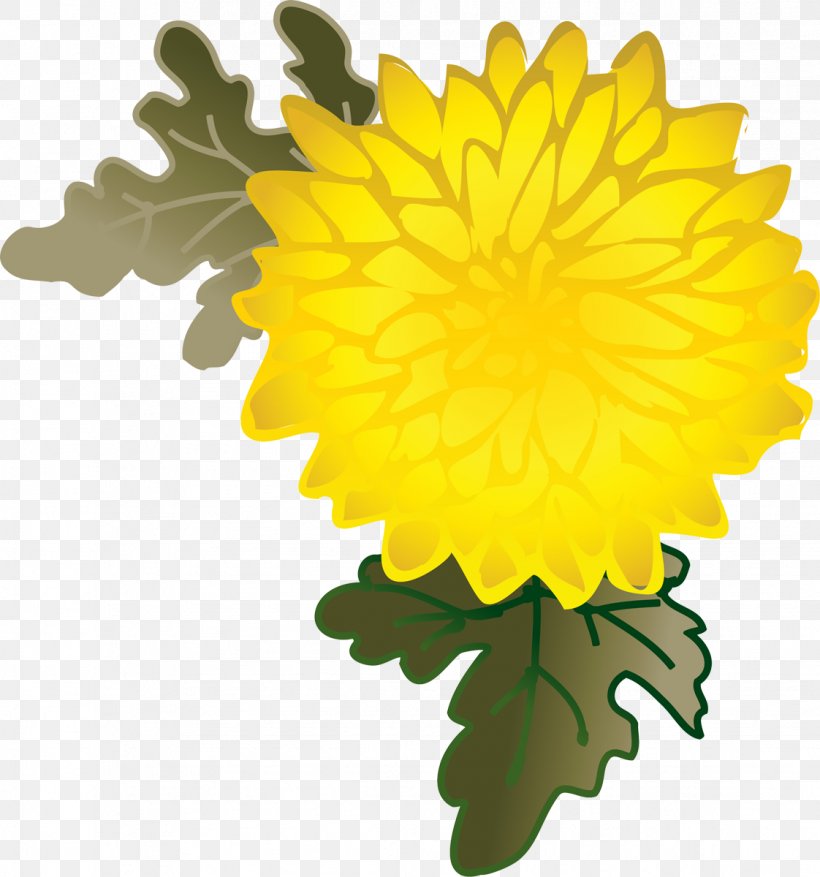 Dandelion Chrysanthemum Pot Marigold Petal, PNG, 1122x1200px, Dandelion, Calendula, Chrysanthemum, Chrysanths, Daisy Family Download Free