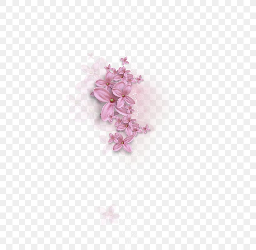 Flower Polyvore Petal Яндекс.Фотки Fotki, PNG, 540x800px, Flower, Art, Blossom, Chelsea Flower Show, Creativity Download Free