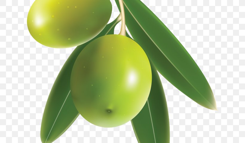 Portable Network Graphics Clip Art Olive Greek Cuisine Image, PNG, 640x480px, Olive, Food, Fruit, Greek Cuisine, Olive Oil Download Free