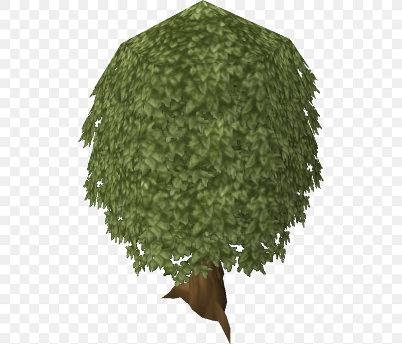Tree Oak RuneScape Plant, PNG, 500x702px, Tree, Ash, Askur, Camouflage, Christmas Tree Download Free
