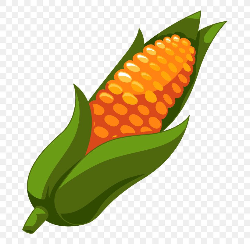 Corn On The Cob Vector Graphics Image Clip Art, PNG, 800x800px, Corn On The Cob, Commodity, Corn, Corn Tortilla, Field Corn Download Free