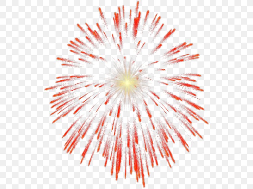 Fireworks Clip Art, PNG, 538x615px, Fireworks, Animated Film, Apng, Firecracker, Flower Download Free