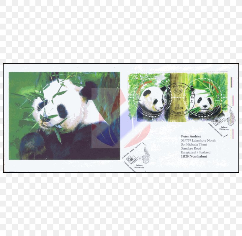 Giant Panda Advertising Bamboo Material Eating, PNG, 800x800px, Giant Panda, Advertising, Bamboo, Bear, Carnivoran Download Free